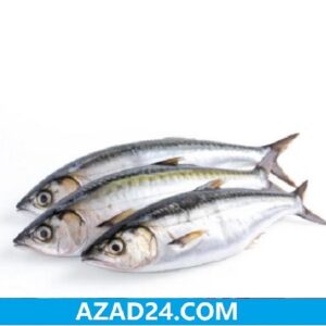 Aila Fish, Mackarel / Aila / Narkoli Fish - সামুদ্রিক