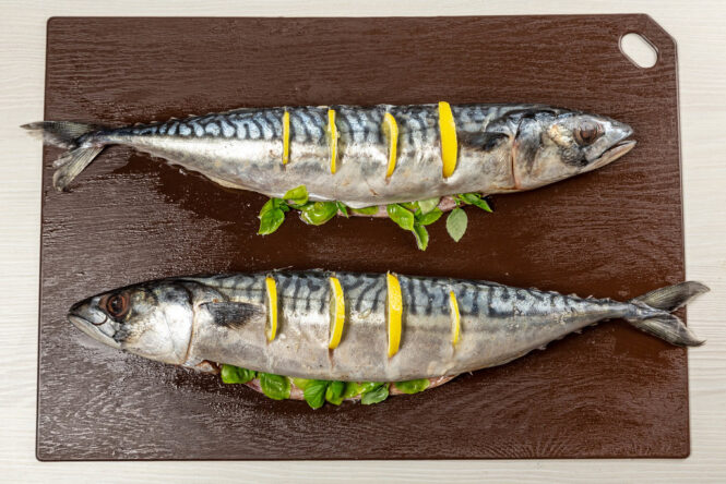 Brown Mackerel Fish - Image 2