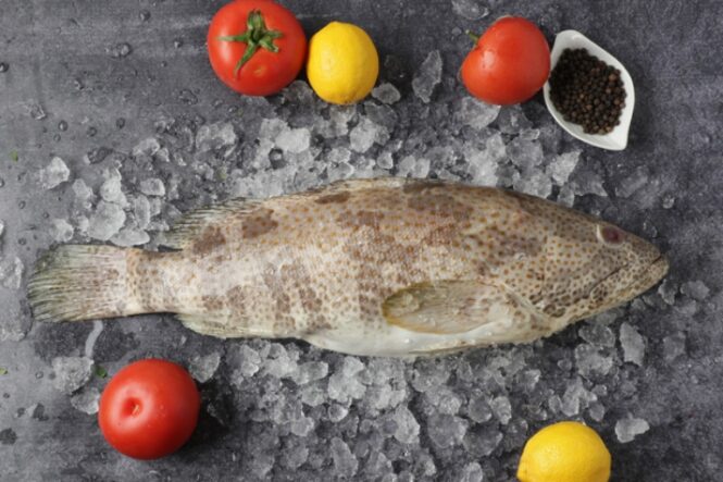 Hamour Fish - Image 3