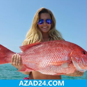 Red Snapper Fish