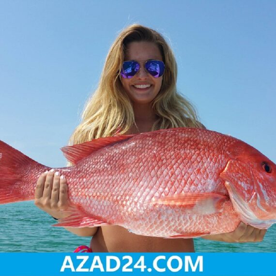 Red Snapper Fish