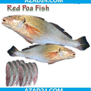 Red Popa Fish