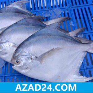 Rupchanda (Silver Pomfret) (3-4 pcs)