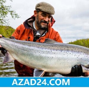 Salmon Sea Fish Norway | River fishing