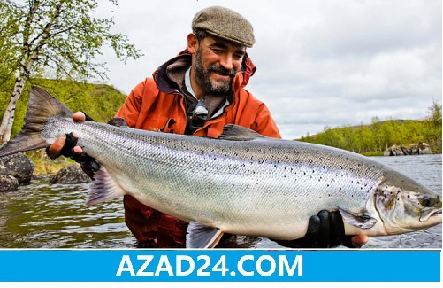 Salmon Sea Fish Norway | River fishing