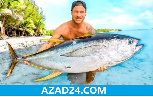 Tuna Fish (টুনা মাছ)