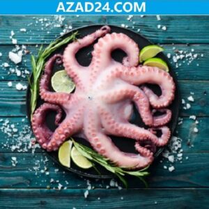 Octopus Fish Price