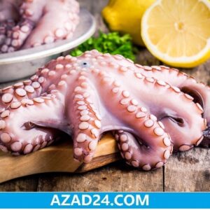 Octopus Fish Price