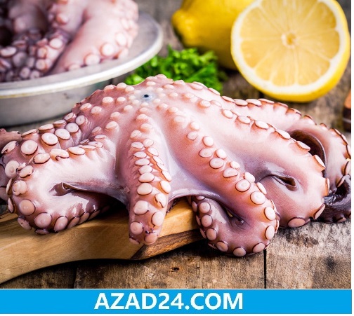 Octopus Fish Price