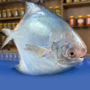 Rupchanda (Silver Pomfret) (6-8 pcs)