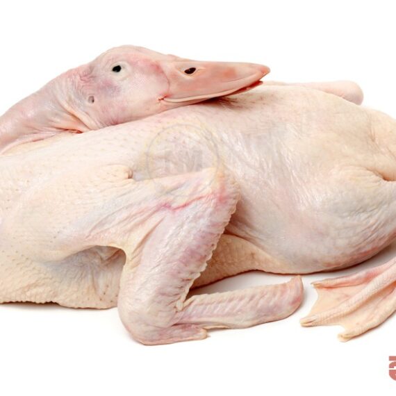 Ready to Cook Duck Meat