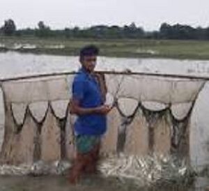 মই জাল । Moi Jal