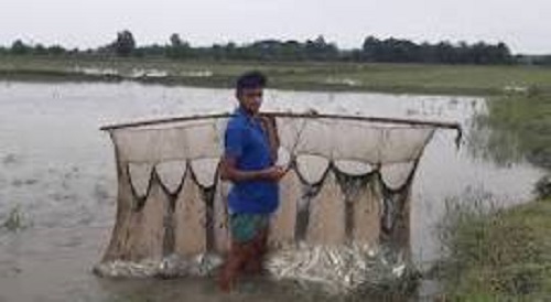 মই জাল । Moi Jal