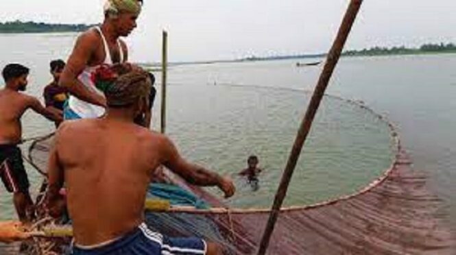 মাছ ধরার বেড় জাল । Fish Harvesting Professional Net - Image 2