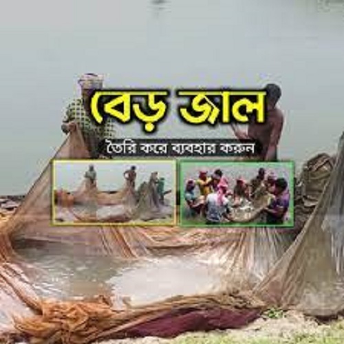 মাছ ধরার বেড় জাল । Fish Harvesting Professional Net
