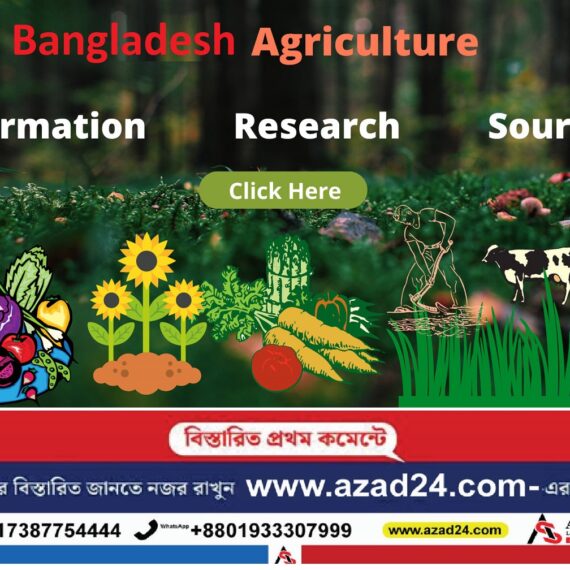 Agricultural Products | 24 Best Agriculture Services | Agricultural Products of Bangladesh