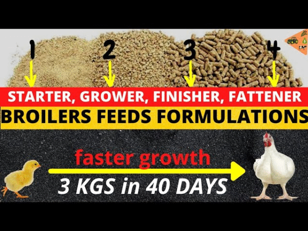 Agro Farm | BROILER FEEDS FORMULATIONS (Starter + Finisher COMBINED) | Make Your Broilers Grow FASTER - Image 3