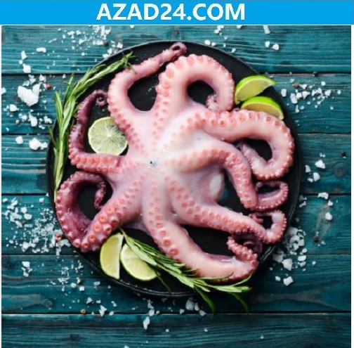 Octopus Fish Price
